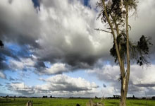 走好品牌卓著之路