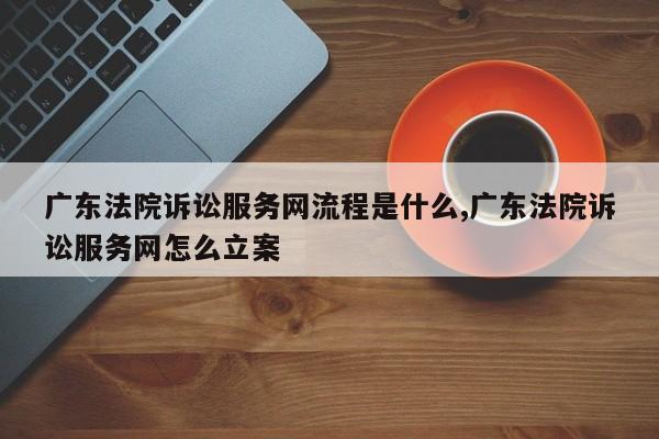广东法院诉讼服务网流程是什么,广东法院诉讼服务网怎么立案